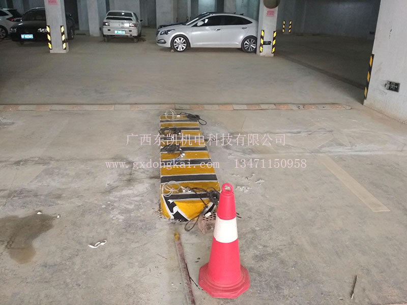 大新县小区停车场系统-1