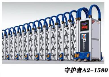 守护都--2022年新款电动伸缩门-2